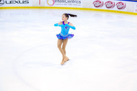 Fabulous Figure Skaters